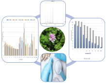 Elevating Hygiene Standards: Utilizing Pelargonium Citrosum to Deter Houseflies and Assessing its Antibacterial Attributes in Formulated Products