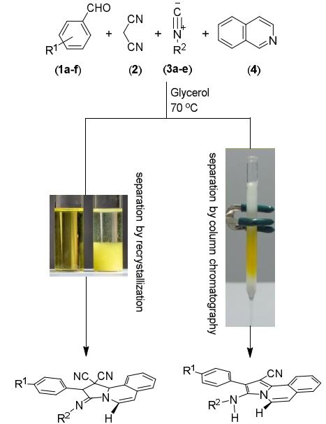 Catalyst-Free One-Pot Four-Component Synthesis of 3-(Imino)-pyrrolo[2,1-a]isoquinolines in Glycerol: Two Different Products through Two Different Purification Methods