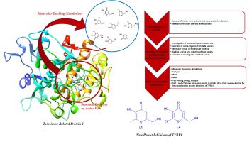 <em>In Silico</em> Investigation and Evaluation of New Potent <em>Tyrosinase Related Protein-1</em> Inhibitors Using Molecular Dynamics Simulations and Docking Study