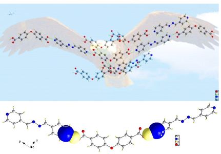 Structural and Computational Insights into a Colorless Carboxylic Acid-Pyridine Cocrystal