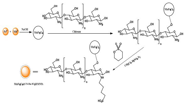 MnFe2O4 MNPs Anchored Chitosan-Bu-SO3H as a Recyclable Nanocatalyst for Sonochemical One Pot Heterocyclization of Indandione with Aniline and Acenaphthoquinone in Aqueous Media