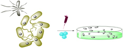 Therapeutic Properties of Synthesized Nanoparticles on Leishmania spp