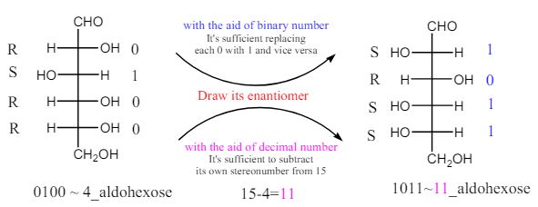 Aldoses and Ketoses’ Extended Binary and Decimal Numbers: A Logical and Simple Relationship between Name and Structure