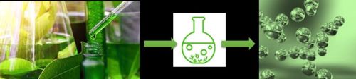 A Thorough Analysis of the Green Synthesis of Metal Nanoparticles Using Plant Extracts